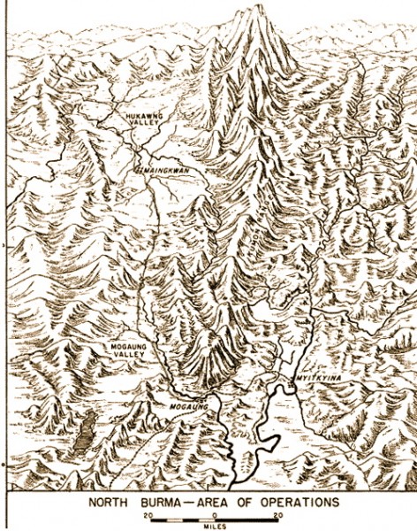 Hukawng Valley terrain