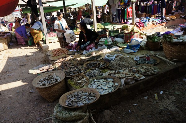 Dried fish at a market on Inle Lake, Burma