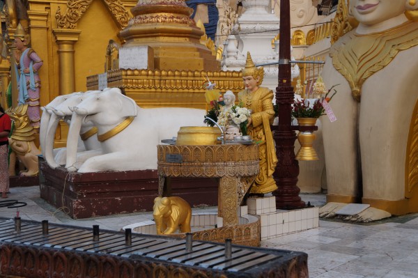 At the Shwedagon Pagoda, Yangon